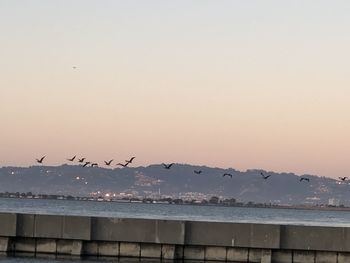 Seagulls flying over sea against sky