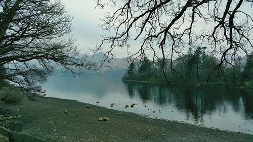 Reflection of trees in lake