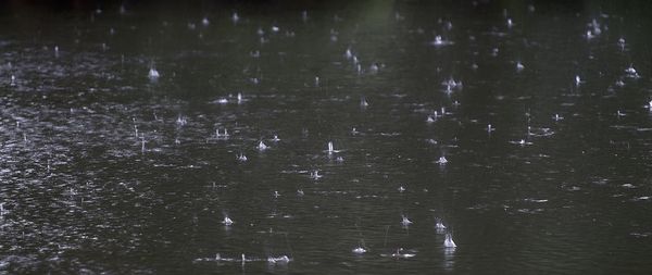 Full frame shot of raindrops on lake