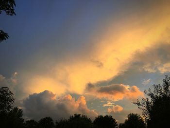 Silhouette of trees against cloudy sky