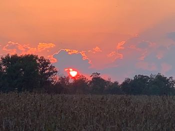 Scenic view of field against sky during sunset