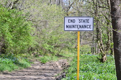 Road sign by trees in forest