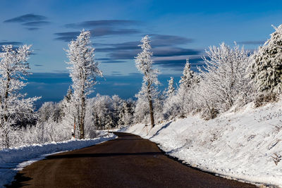 Snow covered road amidst trees against sky