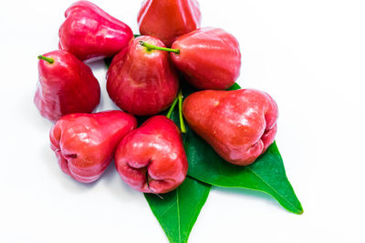 High angle view of tomatoes against white background