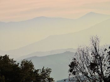 Silhouette trees and mountains against sky during sunset