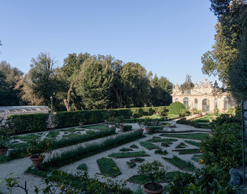 Trees and plants in garden against clear sky