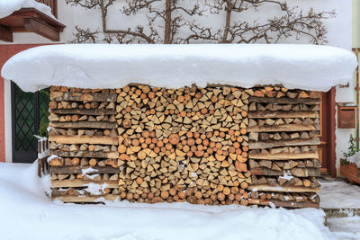 Stack of logs in snow