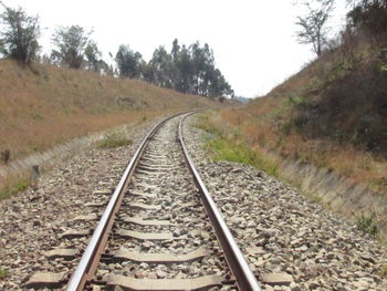 Surface level of railroad track along trees