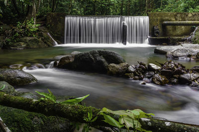 Scenic view of waterfall in forest