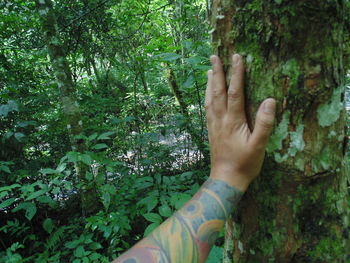 Midsection of man touching tree in forest