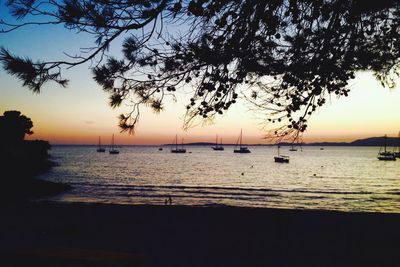 Scenic view of sea at sunset