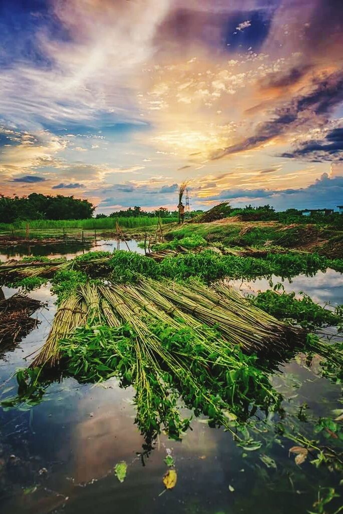 SCENIC VIEW OF FIELD AGAINST SKY AT SUNSET