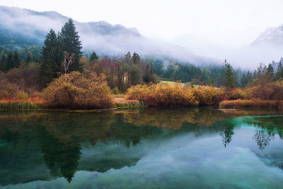 Scenic view of lake by trees against sky