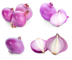 Close-up of purple flowers against white background