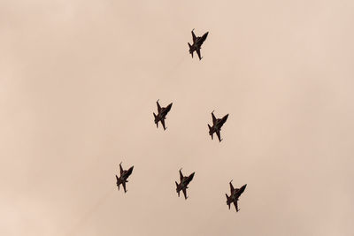 Low angle view of birds flying against sky