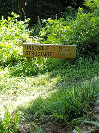 Close-up of text on grass