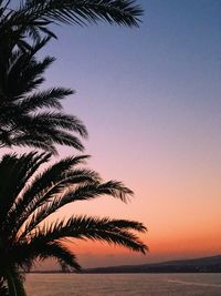 Silhouette palm tree against clear sky at sunset