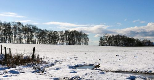 Snow covered landscape
