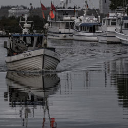 Boats moored on shore