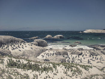 Scenic view of sea against clear sky