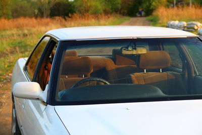 Car parked on land