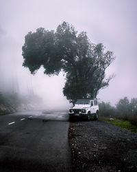 Road passing through forest