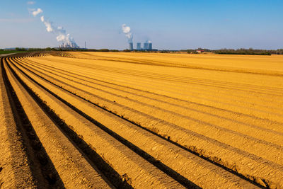 Scenic view of agricultural field against sky
