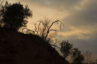 Silhouette tree against sky during sunset