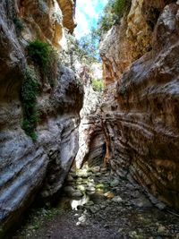 Rock formations in forest