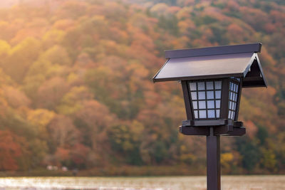 Close-up of electric light against trees