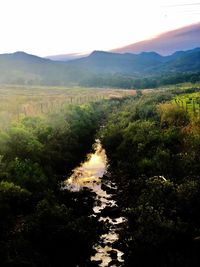 Scenic view of landscape against clear sky