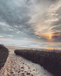 Scenic view of beach against sky during sunset