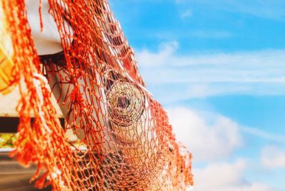 Close-up of fishing net against sky