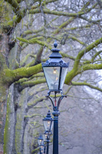 Close-up of lantern