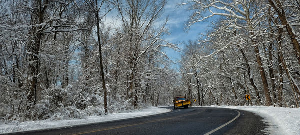 Road amidst bare trees during winter