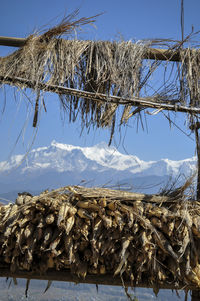 Low angle view of hay bales against sky