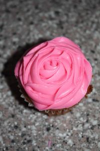 Close-up high angle view of pink flower