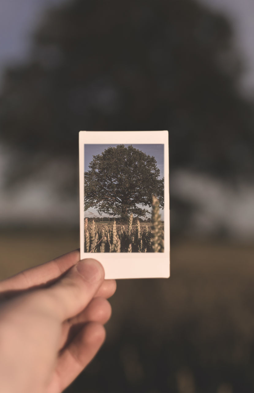 CLOSE-UP OF HAND HOLDING CAMERA AGAINST BLURRED BACKGROUND