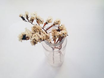 Close-up of paper over white background