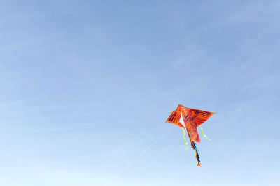Kite in the sky