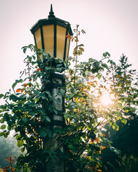 Low angle view of street light against sky