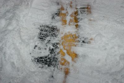 Close-up of plant in background