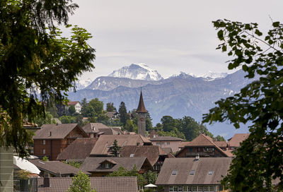 Panoramic view of buildings and trees against sky