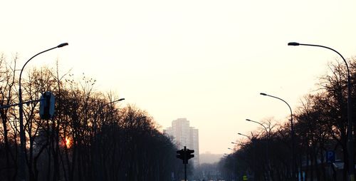 Silhouette trees against sky during sunset