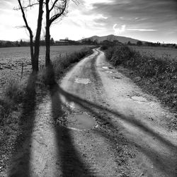 Dirt road amidst trees on field against sky
