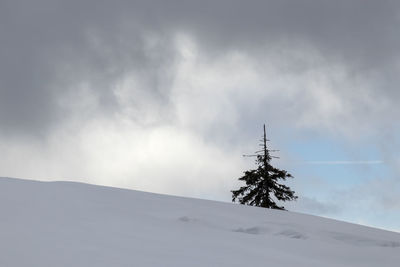 Low angle view of snowcapped mountain against sky