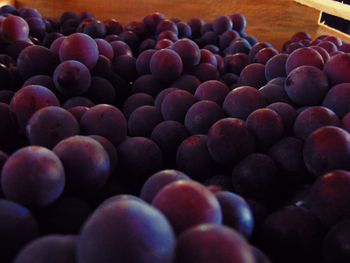 Close-up of blueberries