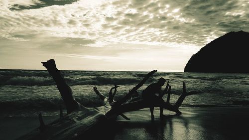 Silhouette driftwood on beach against sky during sunset