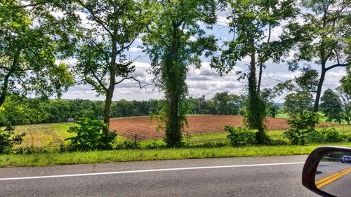 Road by trees against sky