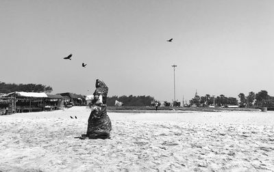 Side view of woman wearing sari while walking at beach against sky